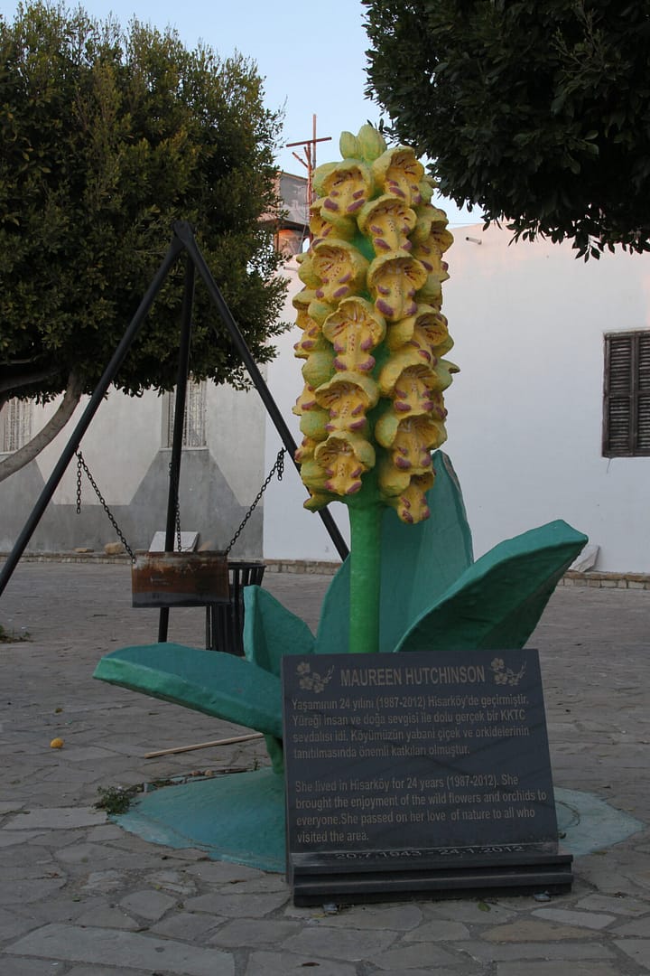 Orchis punctulata memorial Hisarkoy Noord Cyprus 18032017 BDB