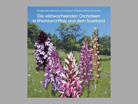 Lees meer over het artikel Nieuw boek : “Die wildwachsenden Orchideen  in Rheinland-Pfalz und dem Saarland”