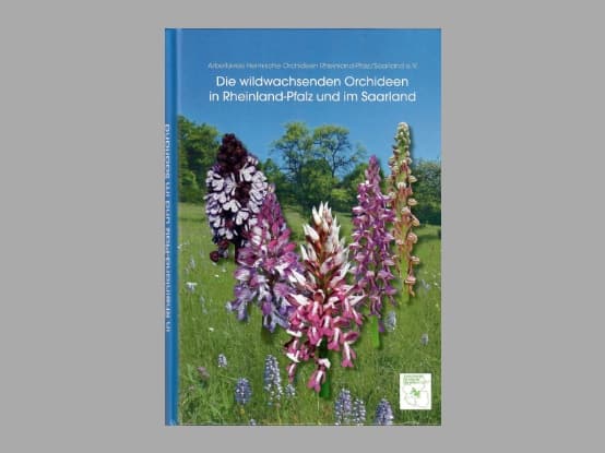 Lees meer over het artikel Boekbespreking : “Die wildwachsenden Orchideen  in Rheinland-Pfalz und dem Saarland”