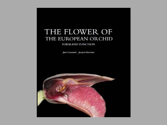 Lees meer over het artikel The Flower of the European Orchid – Form and function