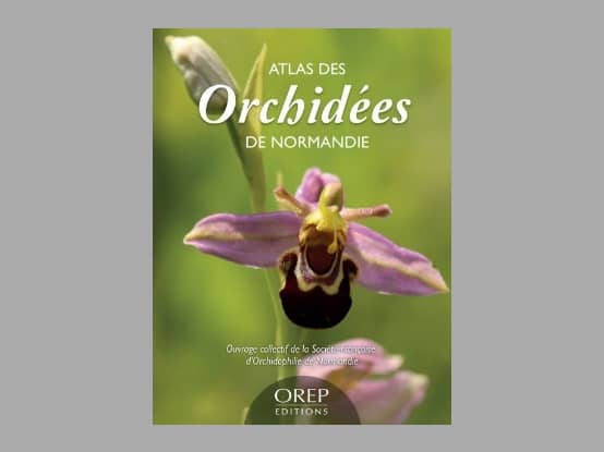 Lees meer over het artikel Boekbespreking : “Atlas des orchidées de Normandie”