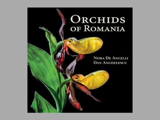 Lees meer over het artikel Boekbespreking : “Orchids of Romania”