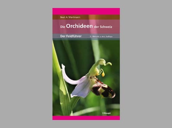 Lees meer over het artikel Boekbespreking : “Die Orchideen der Schweiz”