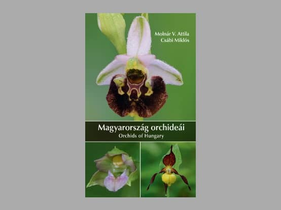 Lees meer over het artikel Boekbespreking : Magyarország orchideái – Orchids of Hungary