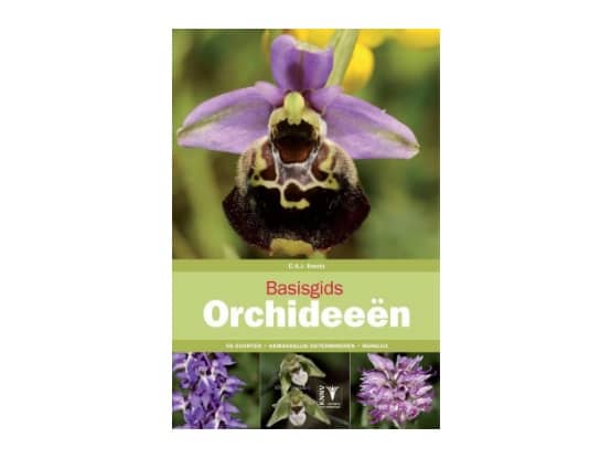 Lees meer over het artikel Binnenkort : Basisgids Orchideeën (Benelux)