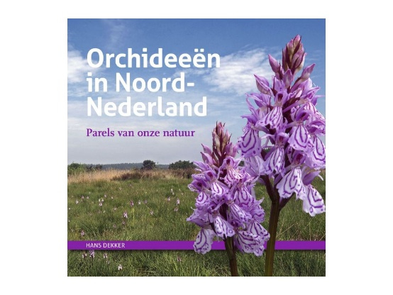 Lees meer over het artikel Nieuw boek:  Hans Dekker – Orchideeën in Noord-Nederland