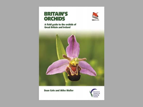 Lees meer over het artikel Boekbespreking “Britain’s Orchids. A field guide to the orchids of Great Britain and Ireland”