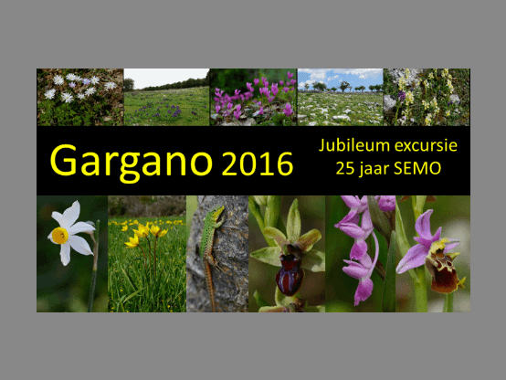 Lees meer over het artikel Jubileum excursie Gargano 2016