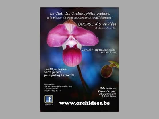 Lees meer over het artikel C.O.W. – Orchideeënbeurs