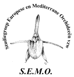 SEMO logo
